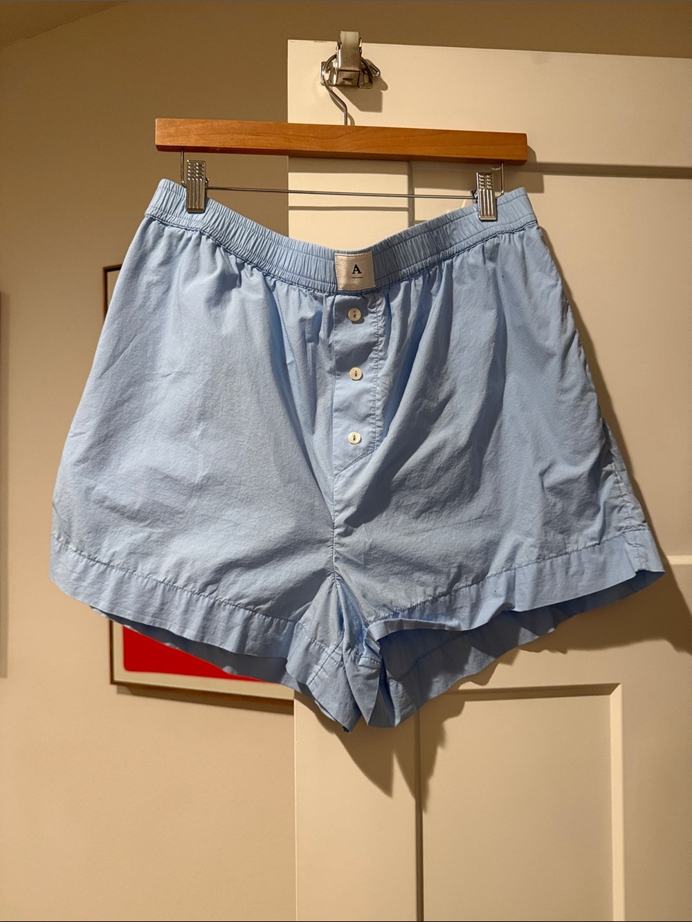 Anthropologie WREN BOXER SHORTS pale blue size L - Picture 6 of 10